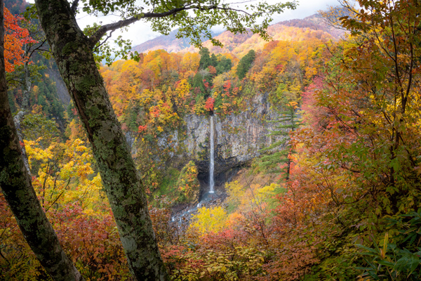 秋の白水の滝