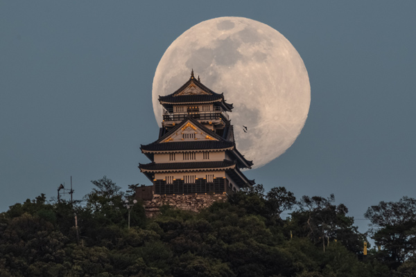 岐阜城と月（4月の十五夜）